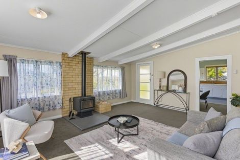 Photo of property in 106 Queen Street West, Levin, 5510