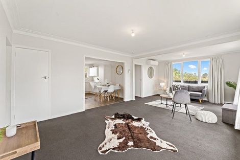 Photo of property in 20b Frank Hewitt Street, Pukekohe, 2120
