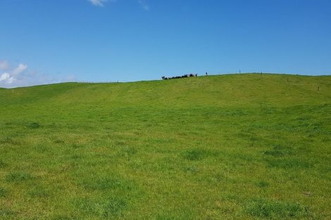 Photo of property in 110a Colville Road, Dargaville, 0310