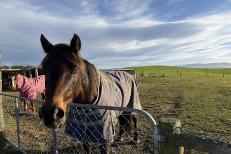 Photo of property in 23 Old Horseshoe Bend Road, Otaio, Timaru, 7971