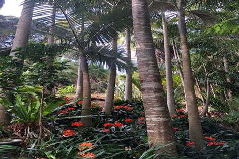 Photo of property in 107 Hadfield Street, Beach Haven, Auckland, 0626