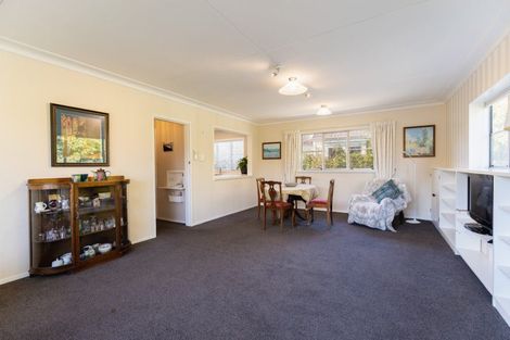 Photo of property in 39 Opoho Road, North East Valley, Dunedin, 9010