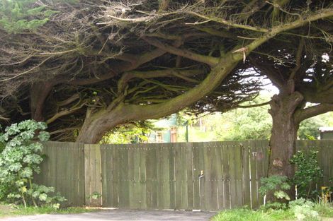 Photo of property in 17 Sulisker Street, Karitane, Waikouaiti, 9471