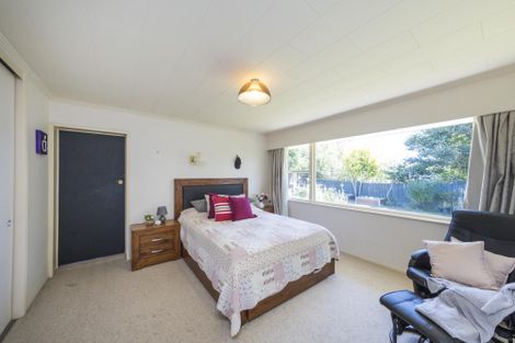 Photo of property in 50 Windsor Street, Terrace End, Palmerston North, 4410