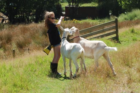 Photo of property in 521 Ahuroa Road, Puhoi, Warkworth, 0994