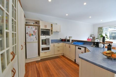 Photo of property in 45 Norwood Street, Normanby, Dunedin, 9010