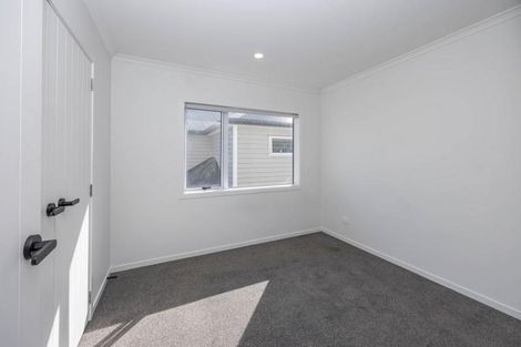 Photo of property in 45 Mccorquindale Drive, Flagstaff, Hamilton, 3210