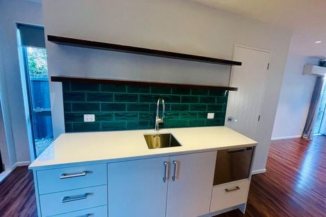 Photo of property in 67 Essex Street, Phillipstown, Christchurch, 8011