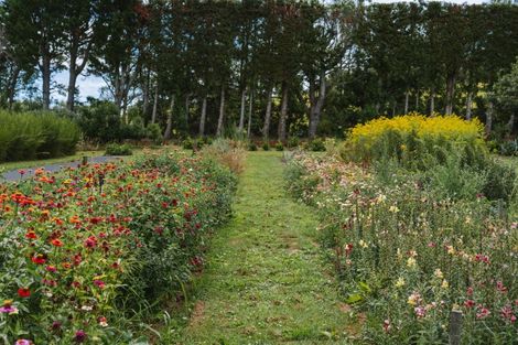 Photo of property in 259 Wainui Road South, Whakamarama, Katikati, 3181