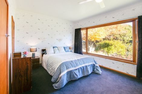 Photo of property in 805 Duke Street, Mahora, Hastings, 4120