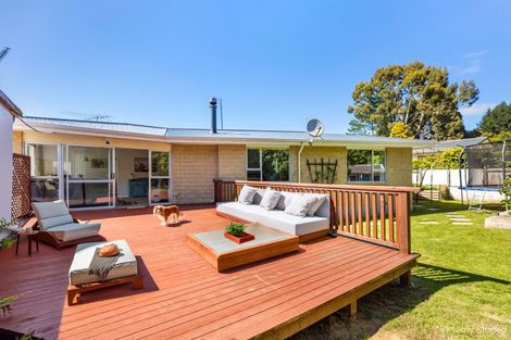 Photo of property in 99 Hall Road, Sawyers Bay, Port Chalmers, 9023