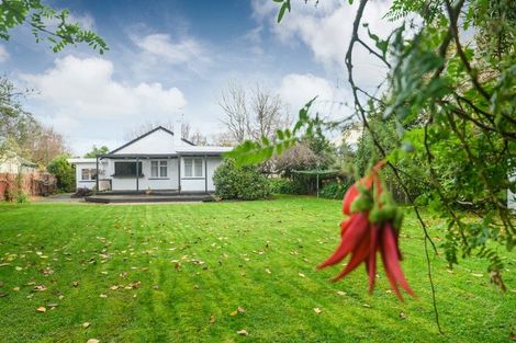 Photo of property in 22 Nelson Street, Feilding, 4702