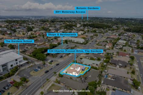 Photo of property in 124 Charles Prevost Drive, The Gardens, Auckland, 2105