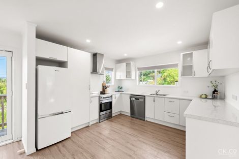 Photo of property in 60 Maungaraki Road, Korokoro, Lower Hutt, 5012