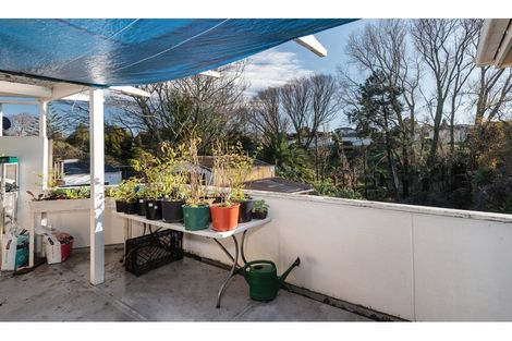 Photo of property in 23 Esk Street, Parkvale, Tauranga, 3112