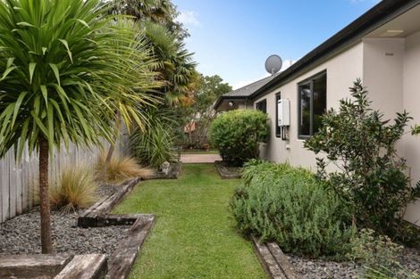 Photo of property in 29 Tuirangi Street, Flagstaff, Hamilton, 3210