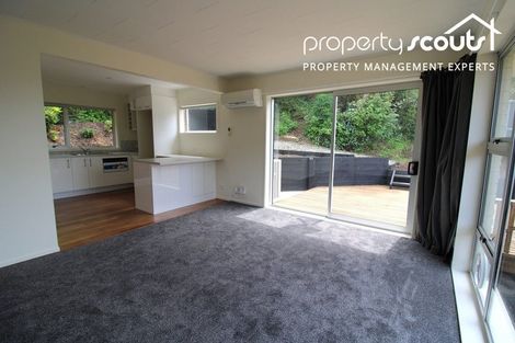 Photo of property in 24b Carnarvon Street, Belleknowes, Dunedin, 9011