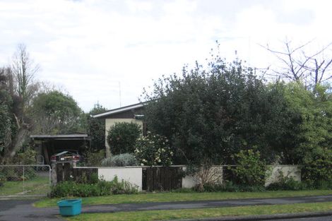 Photo of property in 132 Peacockes Road, Fitzroy, Hamilton, 3206