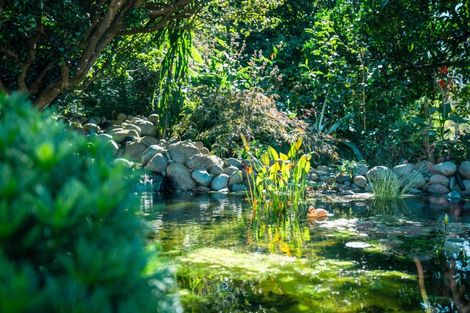 Photo of property in 661 Franklin Street, Pirongia, 3802