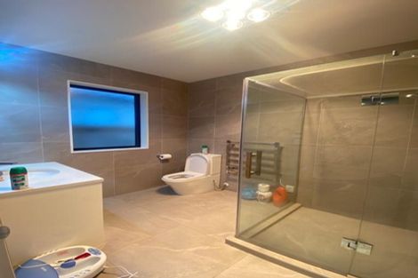 Photo of property in 21 Timmer Road, Flat Bush, Auckland, 2019