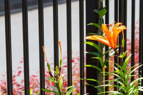 Photo of property in 17 Patricia Place, Katikati, 3129