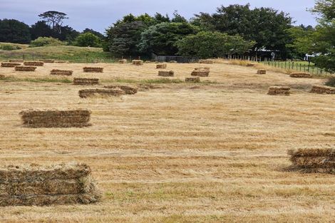 Photo of property in 965 Koputaroa Road, Koputaroa, Levin, 5575