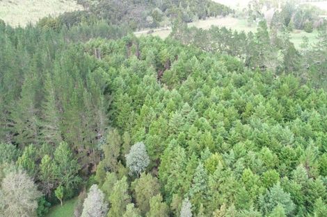 Photo of property in 804 Otangaroa Road, Kaeo, 0479