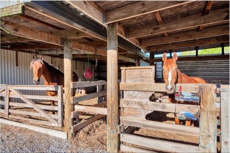 Photo of property in 151 Top Road, Dairy Flat, Albany, 0792