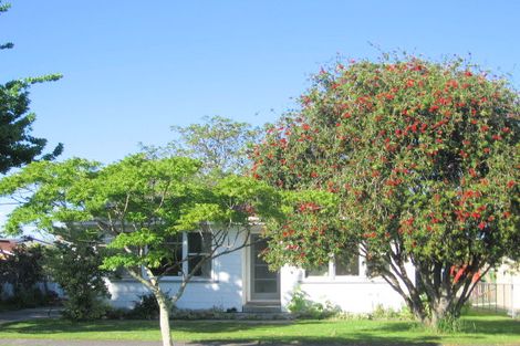 Photo of property in 40 Gordon Street, Mangapapa, Gisborne, 4010