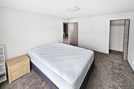 Photo of property in Dual Apartments, 208/142 Vivian Street, Te Aro, Wellington, 6011