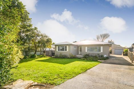 Photo of property in 481 Ruahine Street, Terrace End, Palmerston North, 4410