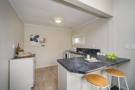 Photo of property in 21a Haydon Street, Roslyn, Palmerston North, 4414