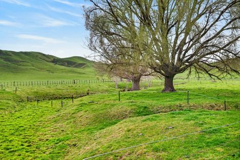 Photo of property in 326 Kawera Road, Pukehamoamoa, Hastings, 4179