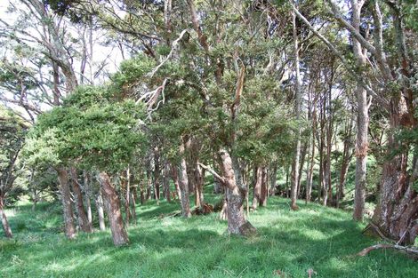 Photo of property in 210g Pukenui Road, Kaiwaka, 0573