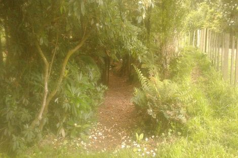 Photo of property in 116 Tauwharenikau Road, Tututawa, Stratford, 4392