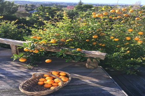 Photo of property in 138 Minden Road, Minden, Tauranga, 3176