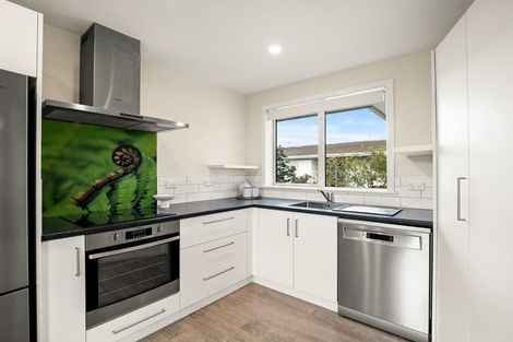 Photo of property in 32c Grove Street, Saint Kilda, Dunedin, 9012