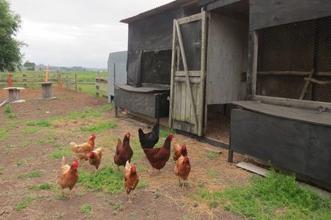 Photo of property in 39 Notorious Road West, Dargaville, 0371