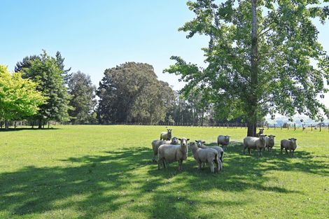 Photo of property in 308 Opaki Kaiparoro Road, Kopuaranga, Masterton, 5882