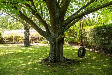 Photo of property in 1091 Halcombe Road, Halcombe, Feilding, 4779