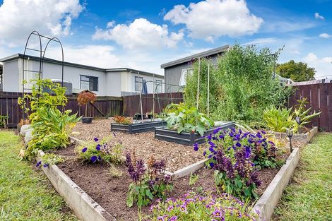 Photo of property in 18a Hinton Avenue, Forest Lake, Hamilton, 3200