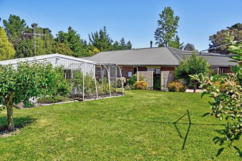 Photo of property in 308 Opaki Kaiparoro Road, Kopuaranga, Masterton, 5882