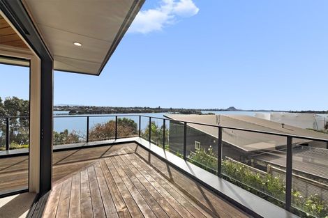 Photo of property in 31 Ririnui Place, Maungatapu, Tauranga, 3112