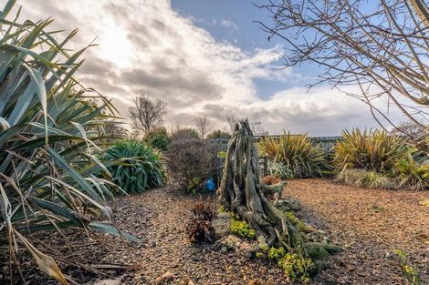 Photo of property in 28 Appleby Street, Hampden, 9410