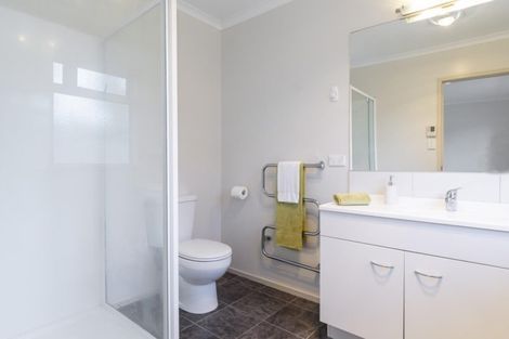 Photo of property in 48 Raukawa Drive, Bethlehem, Tauranga, 3110