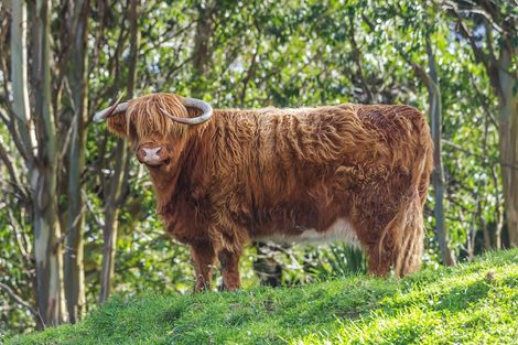 Photo of property in 12 Gladys Scott Place, Tawa, Wellington, 5028