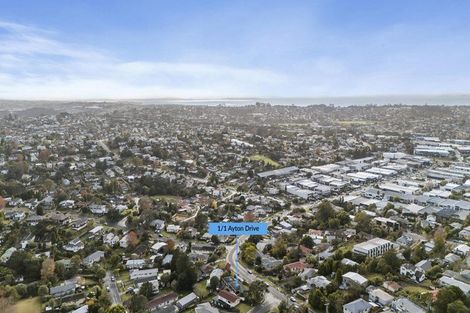 Photo of property in 1/6 Ellice Road, Totara Vale, Auckland, 0629