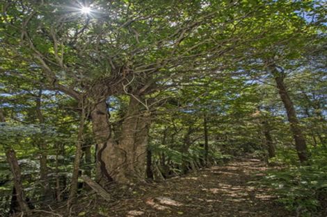 Photo of property in 31 Waitorupai Way, Matapouri, Whangarei, 0173