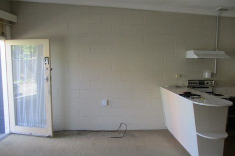 Photo of property in 19 Devon Street, Levin, 5510