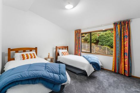 Photo of property in 62 Sligo Terrace, Roslyn, Dunedin, 9010